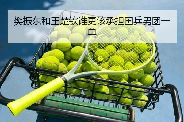 樊振东和王楚钦谁更该承担国乒男团一单 | Kaiyun